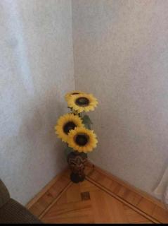 Lalitas sweet home - Kutaisi - 5