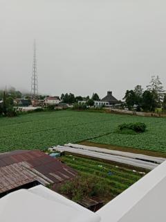 LA97 Homestay - 8