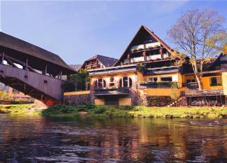Das Waldhaus - Forbach - 0