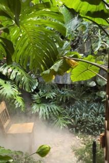Thỏ Non Garden - Bảo Lộc Center 02 - Bảo Lộc - 7