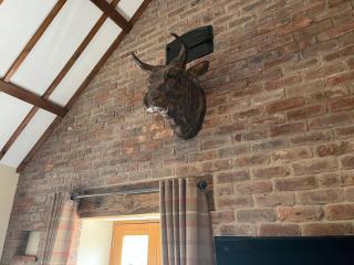 Dee Valley Country Escape - Sleeps 4 & Hot Tub - Corwen - 1