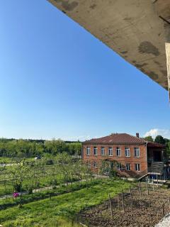 Villa Obcha - Whispering Vines Guesthouse - Bagdatʼi - 8