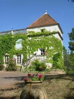Gîte sur un domaine viticole en agriculture biologique - Cessenon - 9