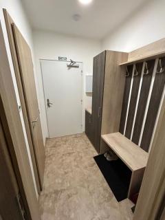 Apartmán pod Jáchymovem - Karlovy Vary - 9