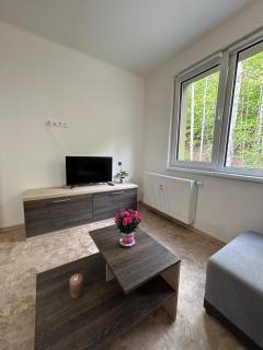 Apartmán pod Jáchymovem - Karlovy Vary - 3