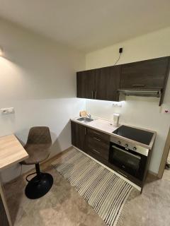 Apartmán pod Jáchymovem - 1