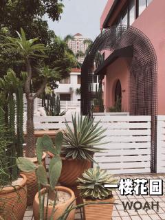 Woah Puppy Home Guesthouse Woah小狗之家民宿 - Shenzhen - 4