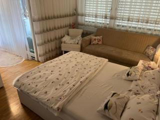 Elegante Wohnung in Basel, direkt am Messeplatz - Basilea - 3