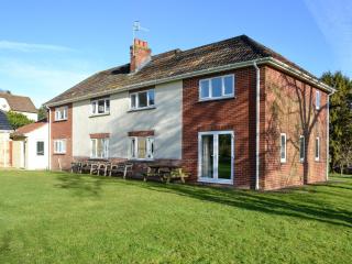 Copper Beech - Netherbury - 1