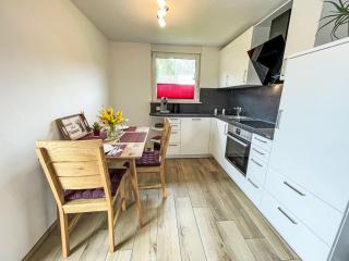 Apartment Blackforestbirdnest by Interhome - Schonach - 1