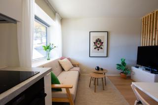 Apartment close to nature and the city - 4