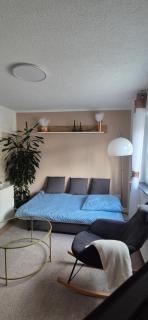 Apartment Weiherwiese - Zweibrücken - 8