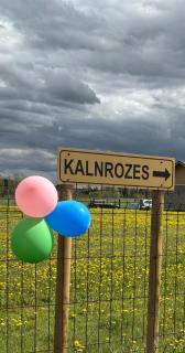 Kalnrozes pirts - - 3