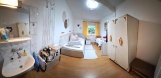 Haus Hoogendam - Leoben - 9