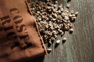 Viva Jaco Viva Jaco 01-02B - 1