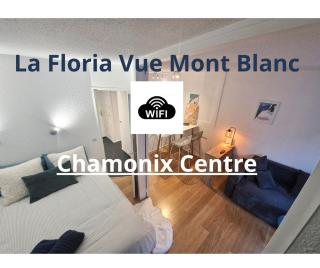 Appartement Cosy, Vue MontBlanc, Chamonix Centre - Chamonix-Mont-Blanc - 6