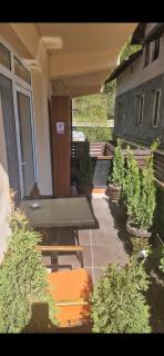 ARTHUR Apartment - Sinaia - 9