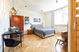 Apartament Siesta Centrum - Bydgoszcz - 8