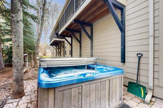Sun Bird Getaway - Ketchum - 6