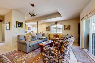 Sun Bird Getaway - Ketchum - 3