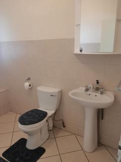 Gabbys Luxury Apartment - Northwold - 1