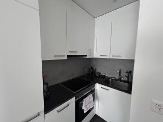 Max Apartments - Schaffhausen - 6