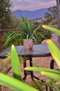 VILLA IN THE OLIVE TREES - Galaxidi - 5