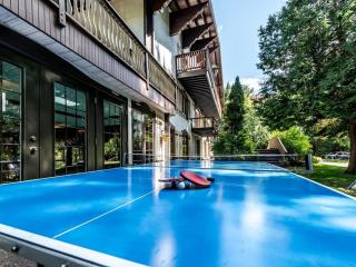 Chalet Genteman 23 pers Piscine spa et sauna - Sainte-Agathe-des-Monts - 4