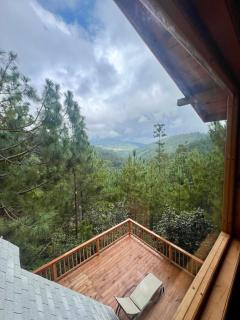 Nido de Madera - 5