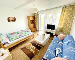 Apartament przy Parku Wodzickich - Poręba Wielka - 7