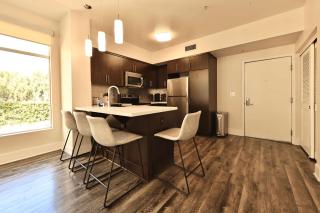 2BD Stylish Retreat Resort Amenities Heart of Hollywood - Los Angeles - 5