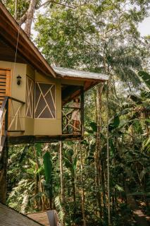 Burú Nature Hotel - Leticia - 6
