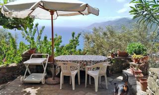 Villetta sul Mare - Camogli - 0