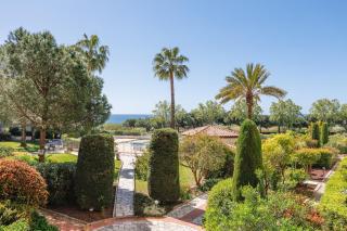 Les pins bleus - 5
