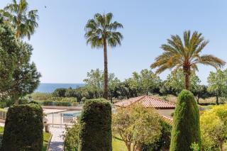 Les pins bleus - 4