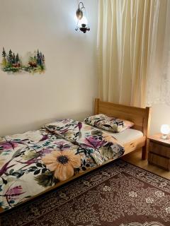 Apartament przy Parku Wodzickich - blisko Term, Turbacz, KGP - Poręba Wielka - 1