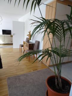 Haus Koller - Wiener Neustadt - 1
