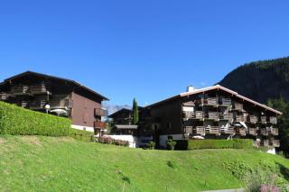 Résidence Le Prarion 2 C - Prarion 2 28 MAE-6429 - Les Houches - 1