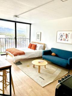 High Altitude Penthouse DT Gym Free Parking Mt View - Salt Lake City - 9