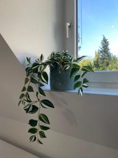 Ruhiges Gästehaus - 120qm - Garten - 1A Lage - 7