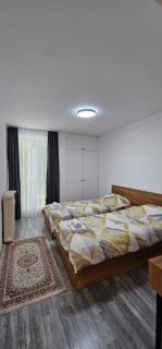Blini Apartment - Pristina - 8