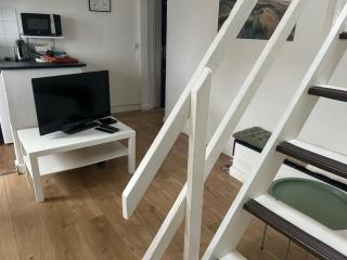 Lille Moulin, duplex lumineux 4P - Lille - 3