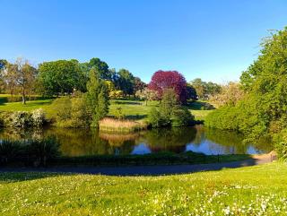 The Phoenix Park View - Dublin - 1