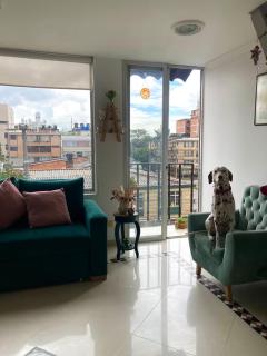 Casita de Plantas - 5