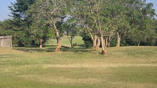 Kruger Park Lodge 243 - Hazyview - 2