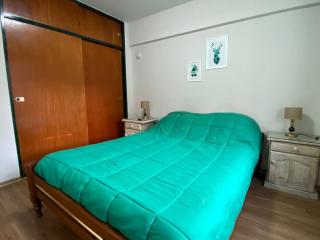 Depto en el corazon de la Patagonia - Bariloche - 2