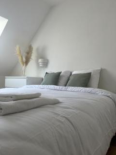 Alexander Home with parking - Colmar - 9