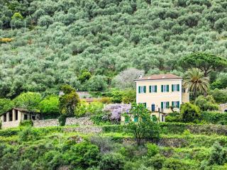 Villa La Vigna by Interhome - Pontedassio - 5
