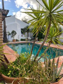 Casa Tragabalas - Cómpeta - 2