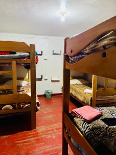 Ukumari Hostel - Cusco - 3